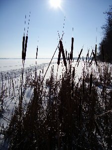 DSC01925.JPG