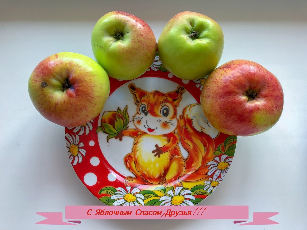 imgonline-com-ua-Resize-PYN5cJyefl9W.jpg