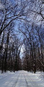 Продолжая эксперименты с вертикальными панорамами: дорога из рыбачьего, из 2х вертикальных фоток