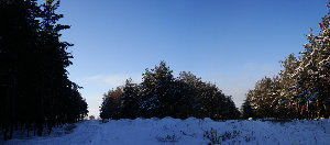 DSC01962-Панорама.JPG