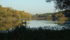 DSCF7247.jpg