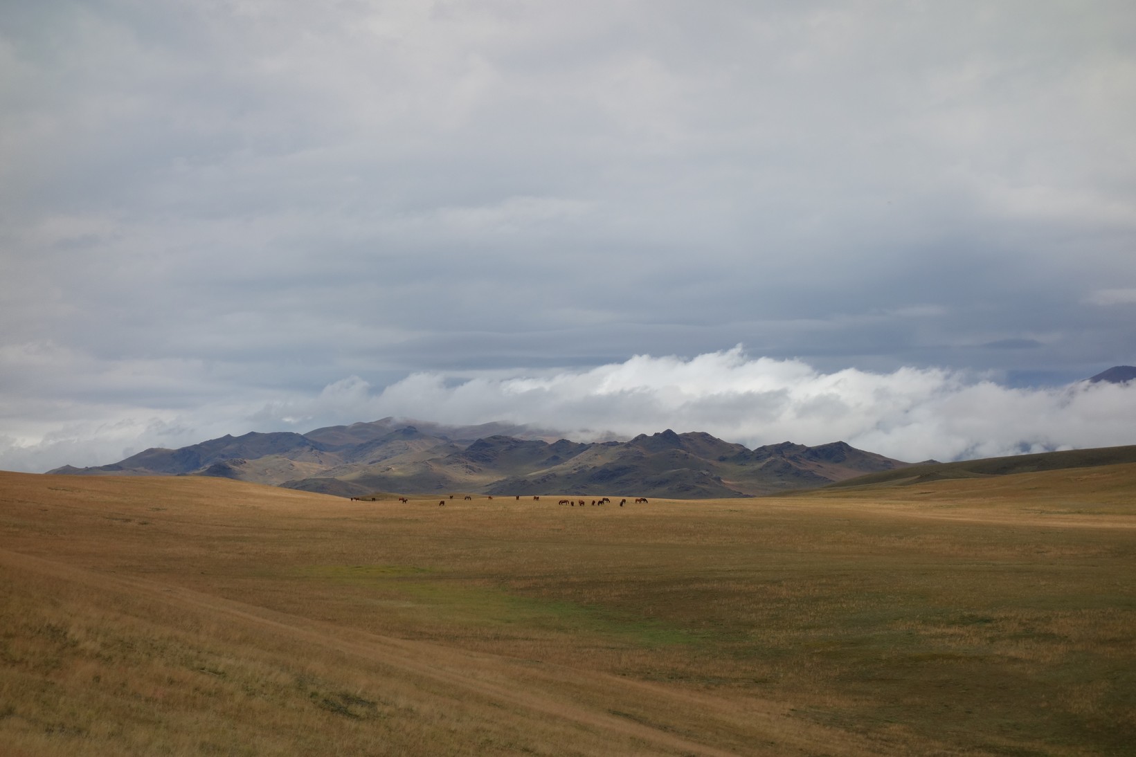 DSC01771.JPG