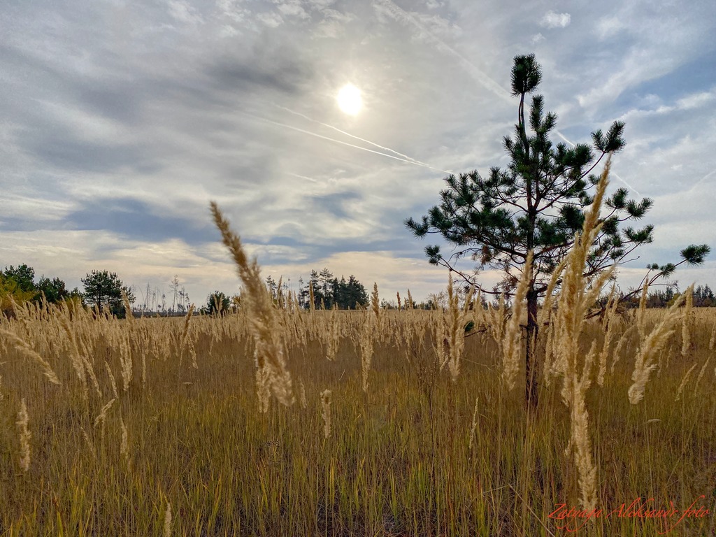 imgonline-com-ua-Resize-BIMelnW5582R.jpg