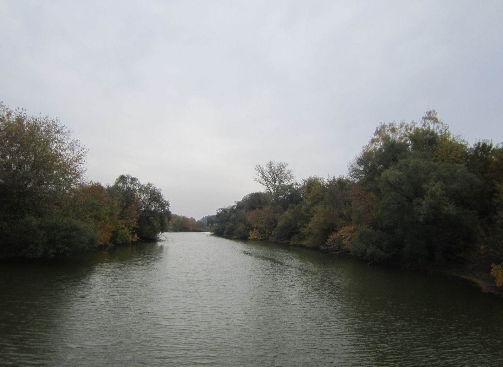 2020_10_03 11-19-52 IMG_2778.jpg