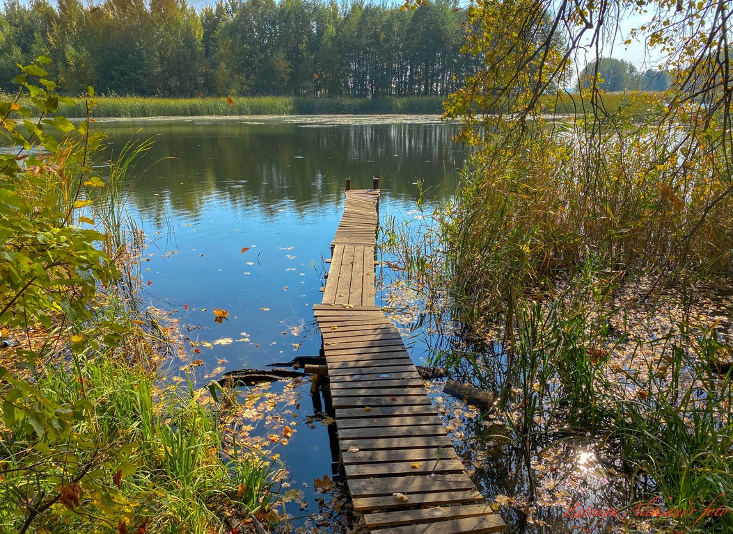 imgonline-com-ua-Resize-4ztJKkV2UgZ.jpg