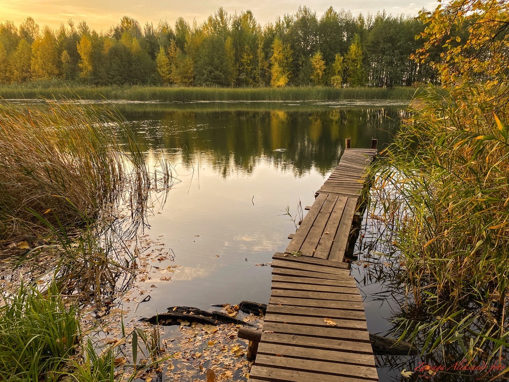 imgonline-com-ua-Resize-LMn7xABWj8t6z0wu.jpg