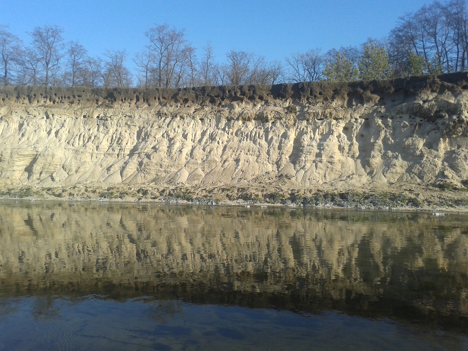 20201206_132230.jpg