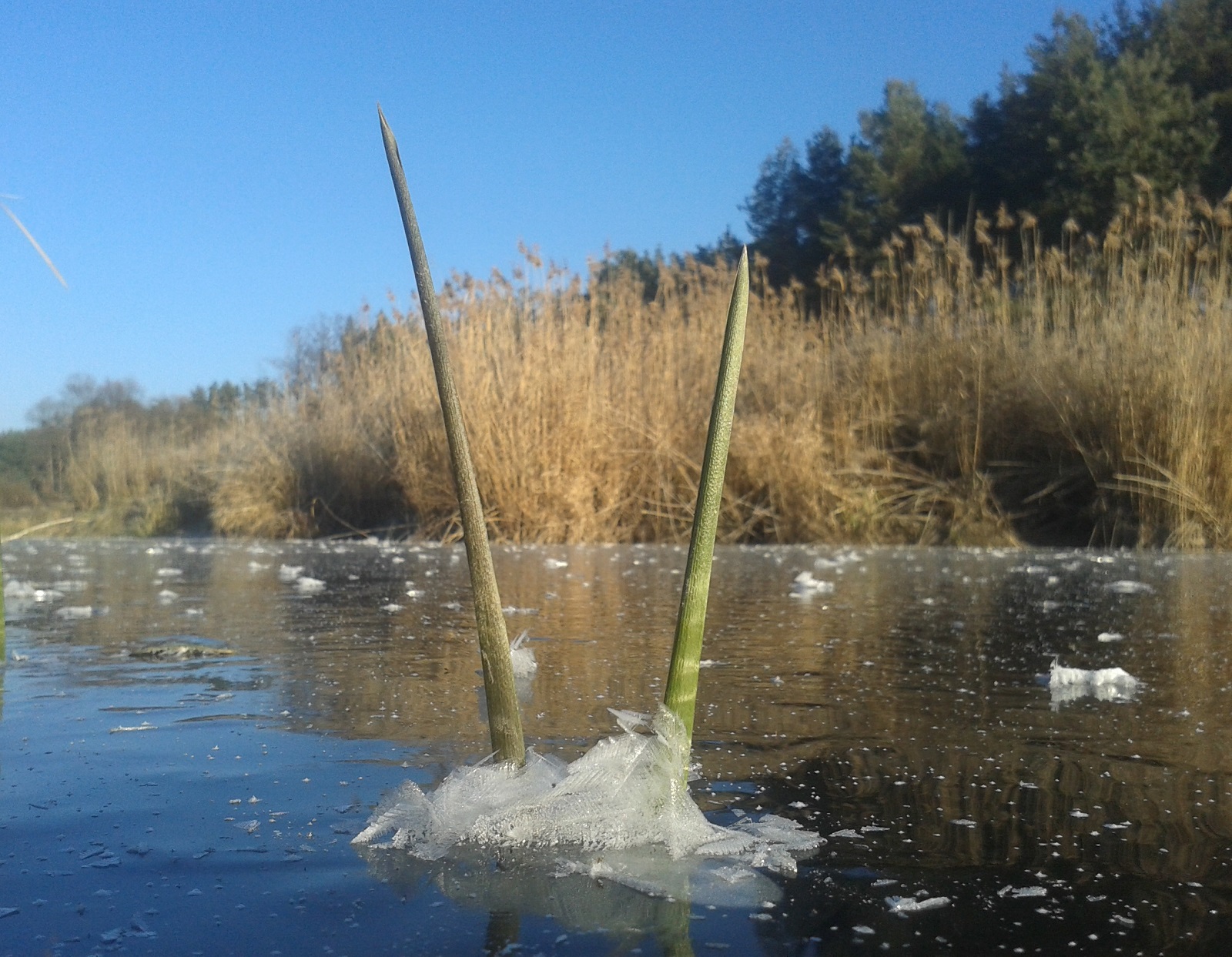 20201206_135208.jpg