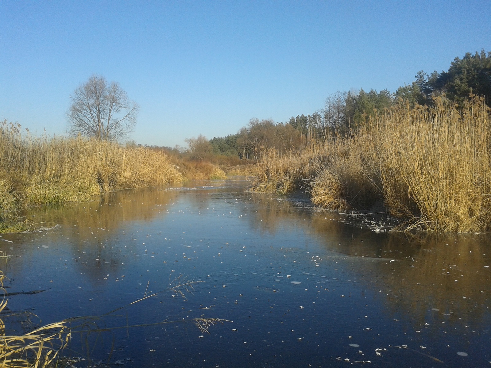 20201206_135243.jpg