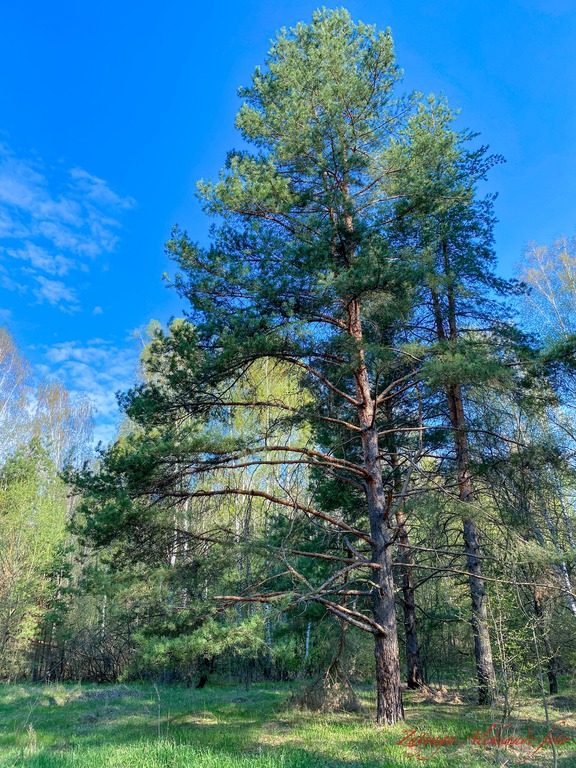 imgonline-com-ua-Resize-kPYHDra8FA27hfWr.jpg