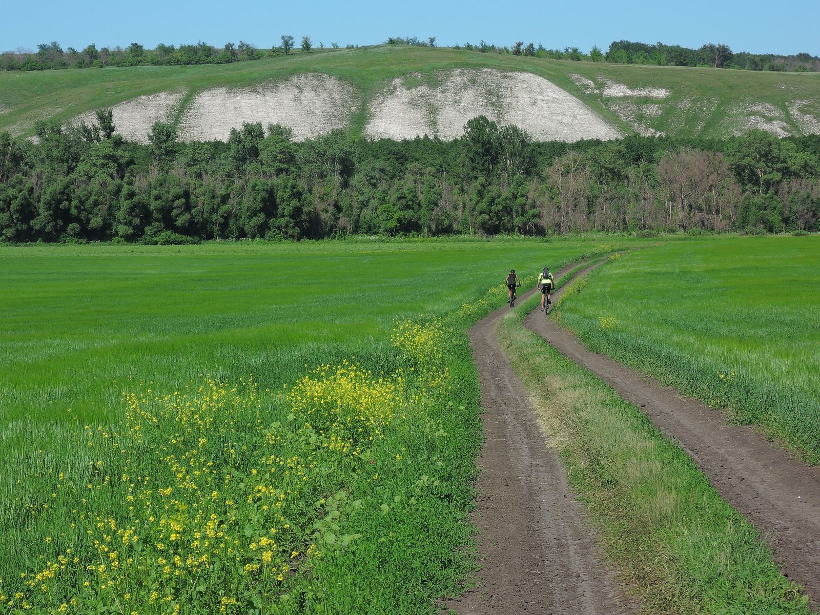 2021_06_19 16-04-40 DSCN7964.jpg