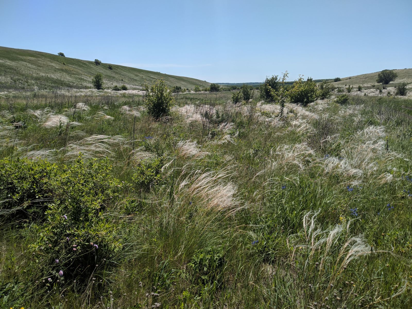 2021_06_19 12-42-06 IMG_20210619_124205.jpg