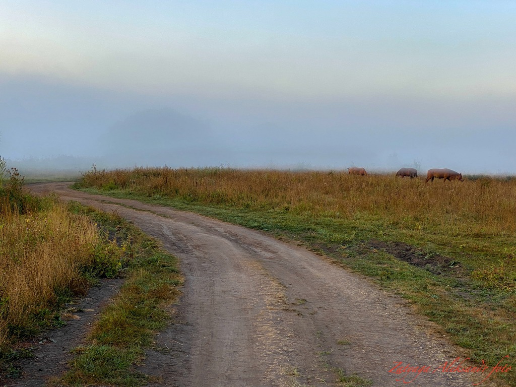 imgonline-com-ua-Resize-Kta036BteDWYyV5y.jpg