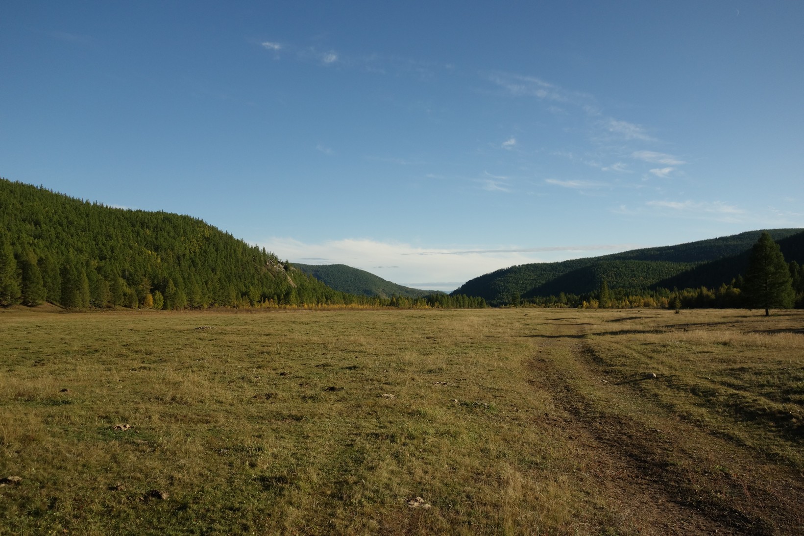 DSC08424.JPG