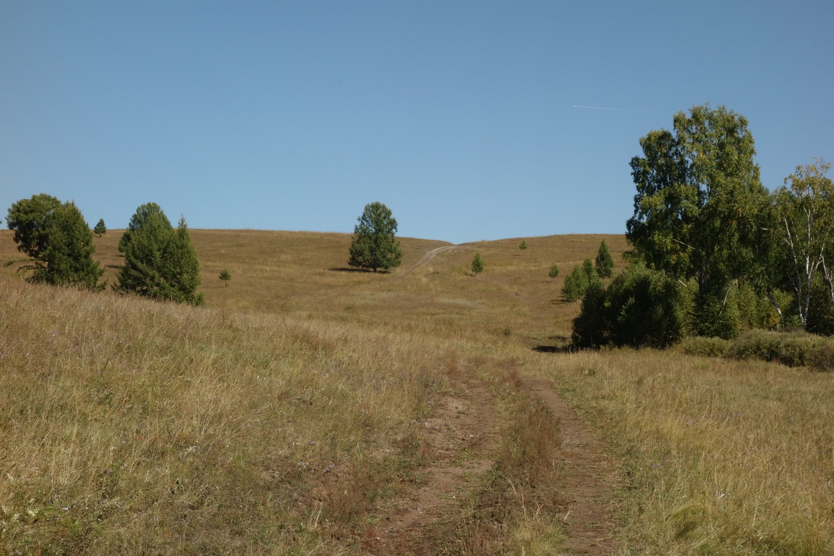 DSC08589.JPG