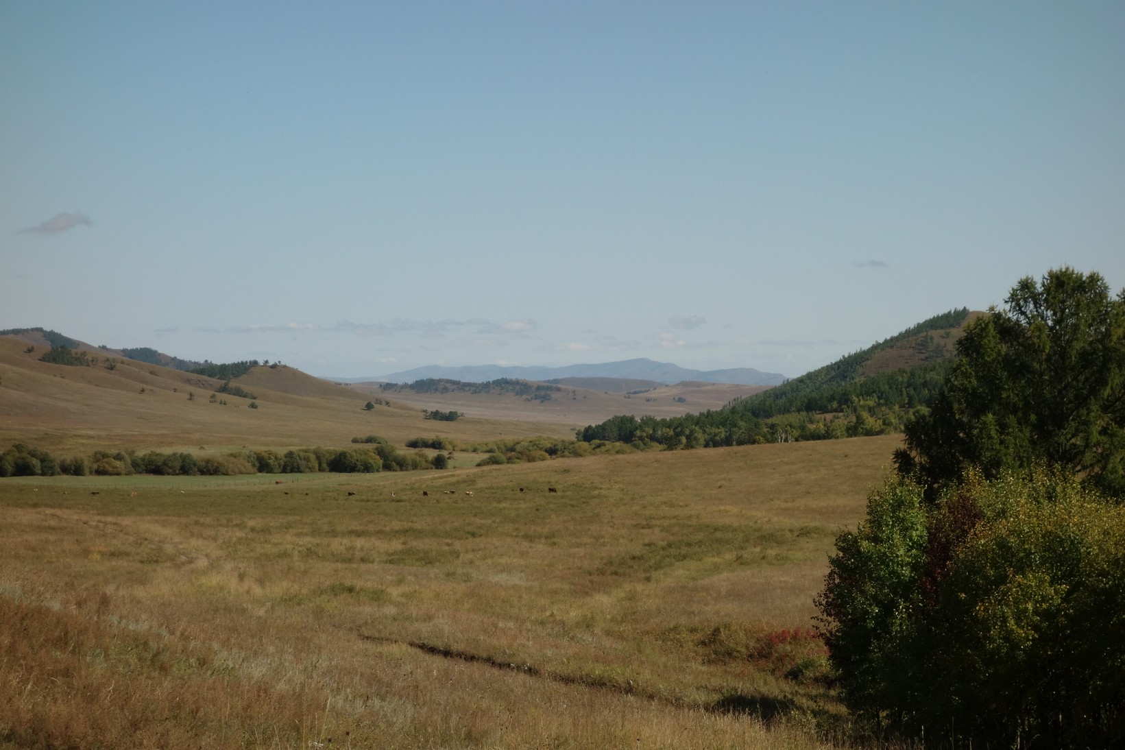 DSC08595.JPG