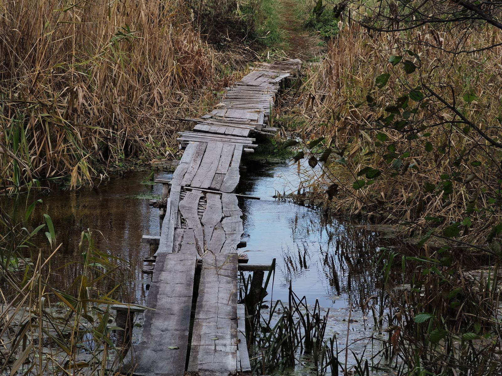 2021_10_23 10-48-43 IMG_20211023_104842.jpg