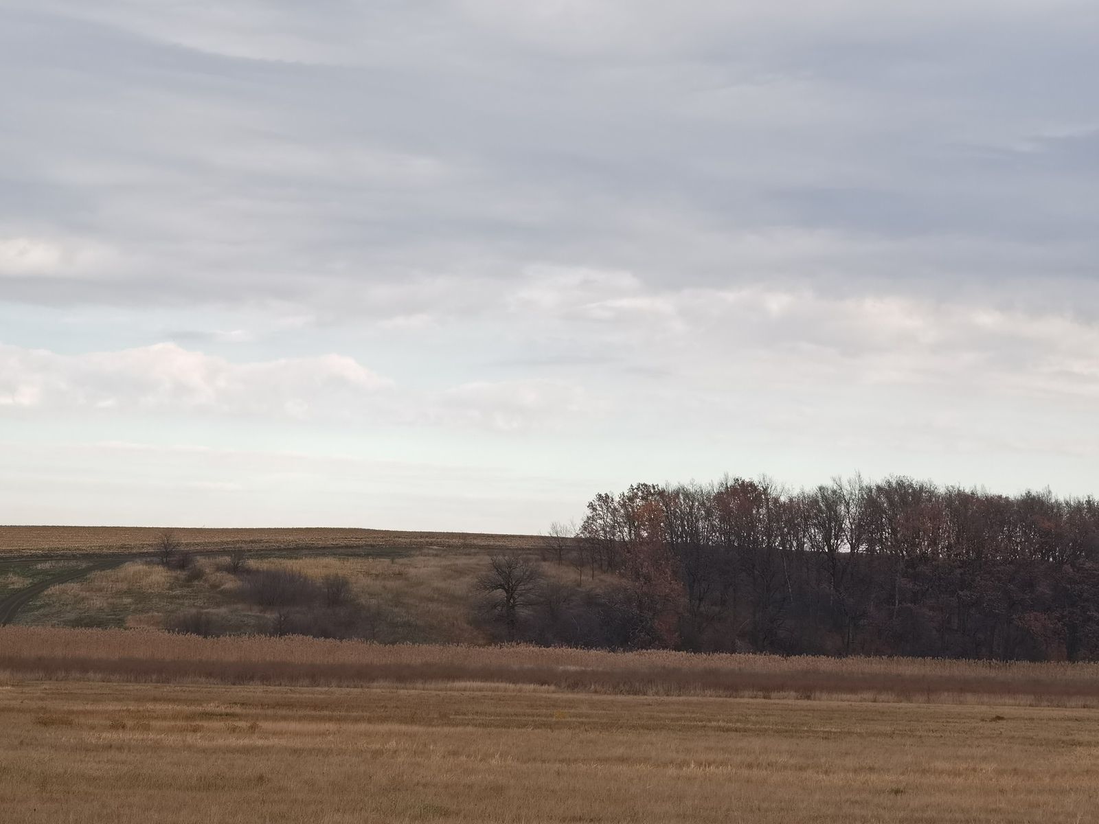 2021_10_23 11-13-04 IMG_20211023_111304.jpg