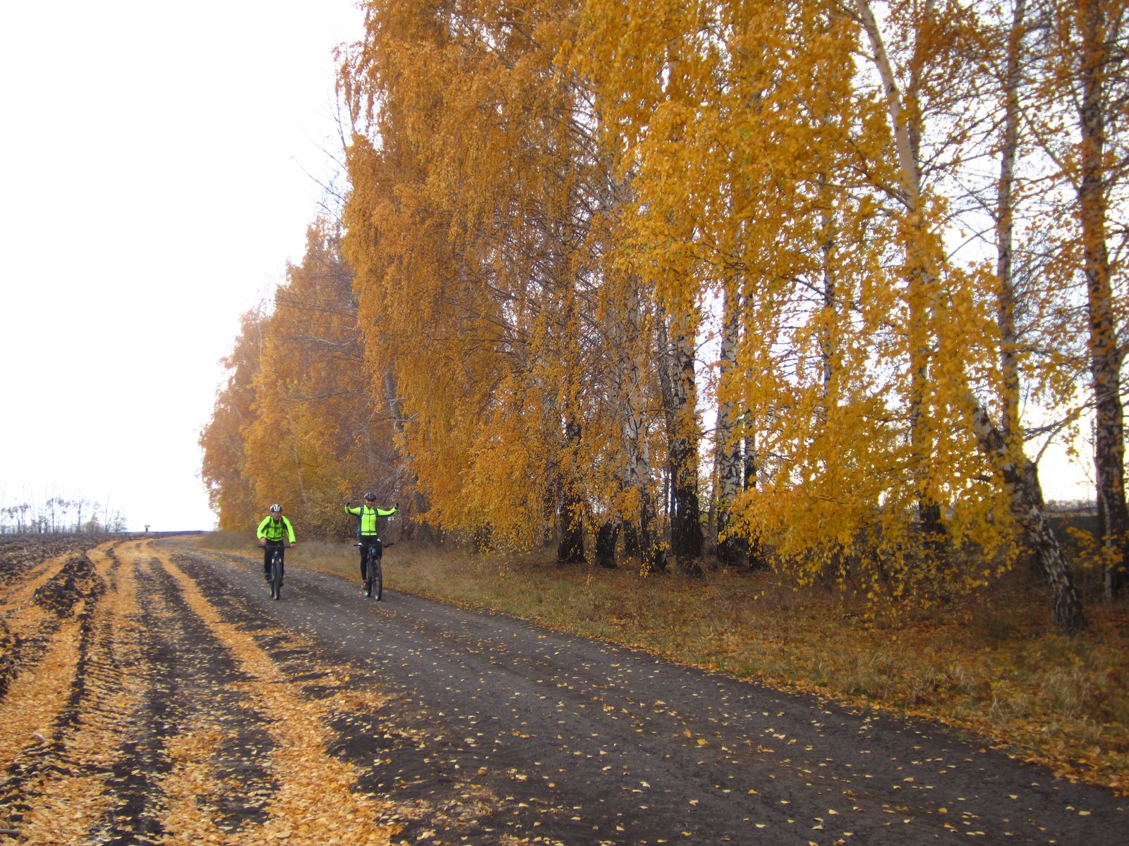 2021_10_23 12-59-37 IMG_3778.jpg