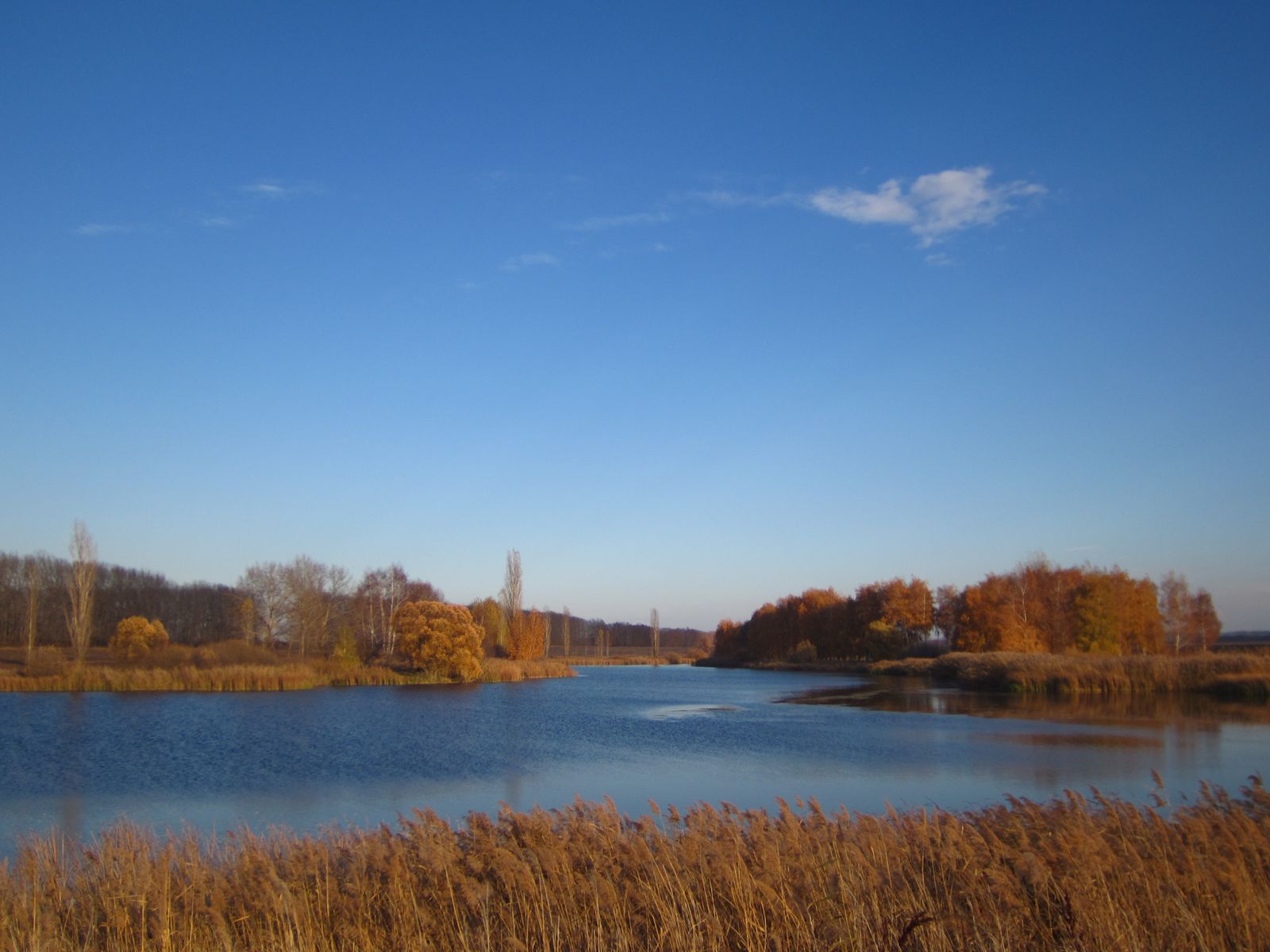 2021_10_23 15-23-37 IMG_3792.jpg