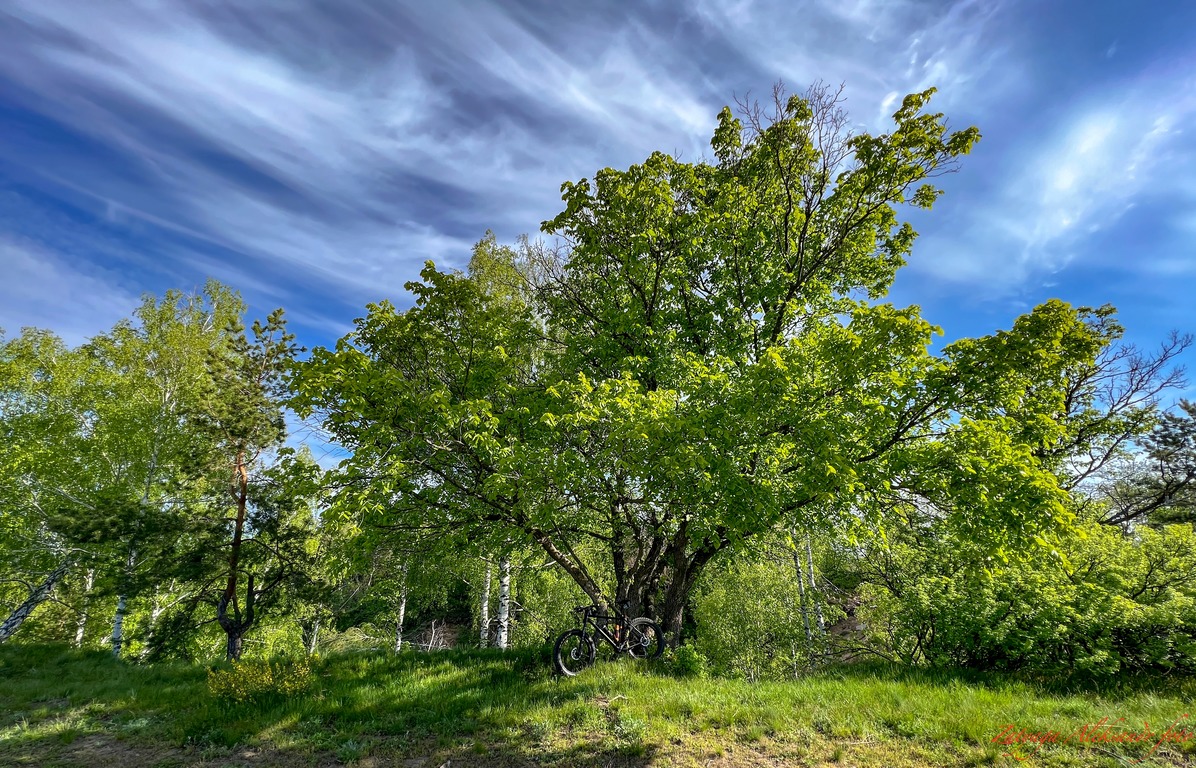 imgonline-com-ua-Resize-uyYkESko0TG9.jpg