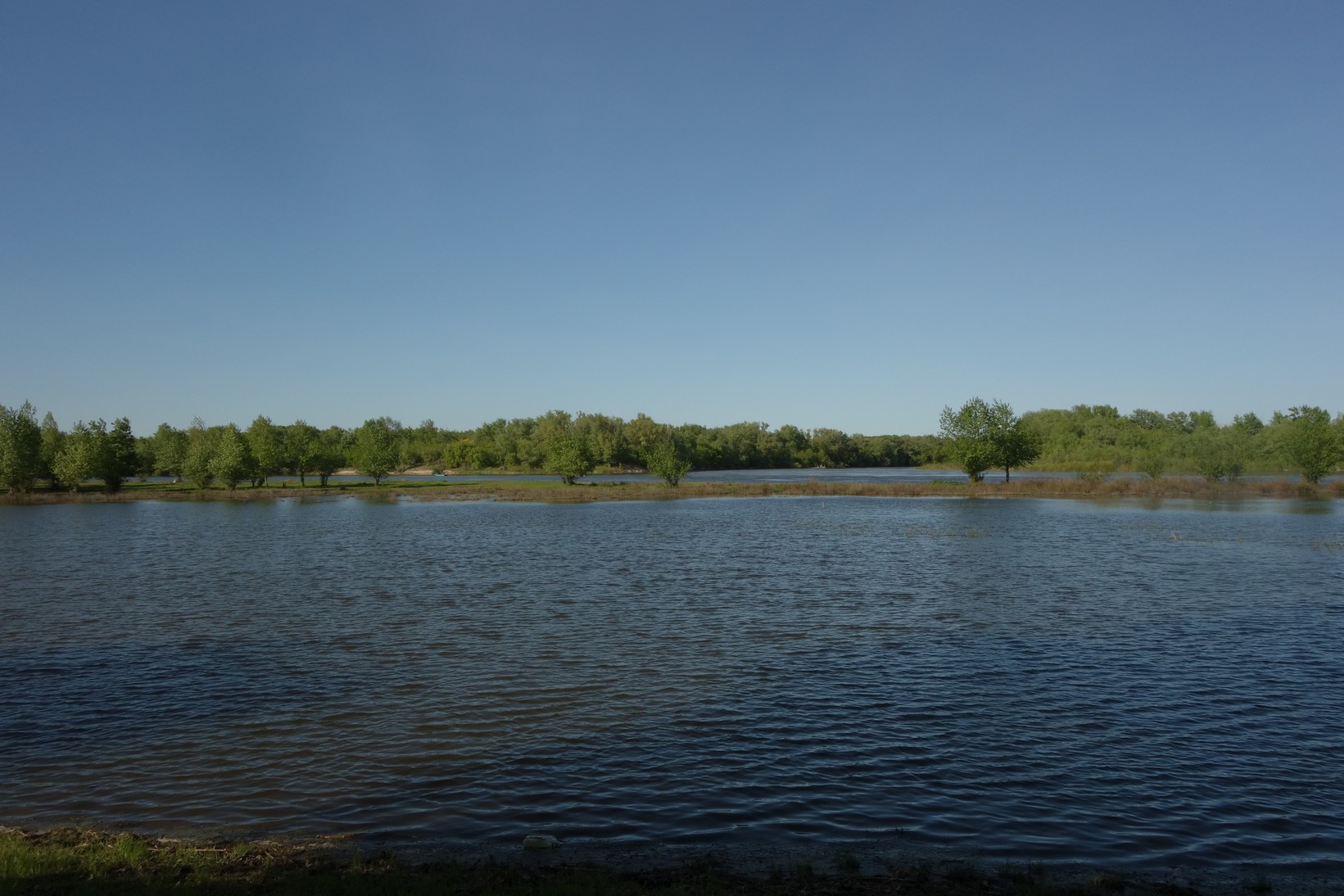 DSC01832.JPG