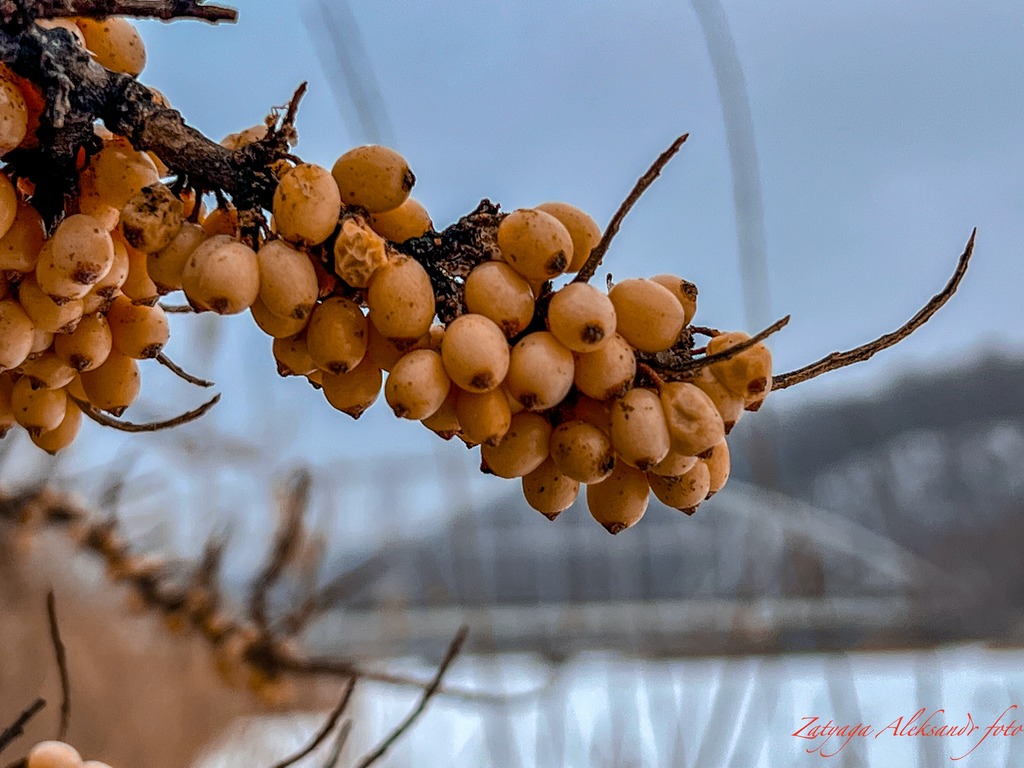 imgonline-com-ua-Resize-XD0qD8HqvzJoiGD.jpg