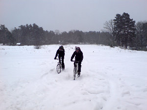 Первая партия