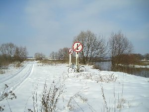 010.jpg