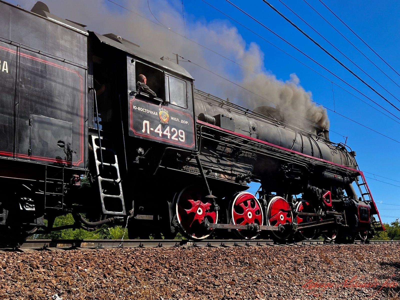 17283 (1).jpg