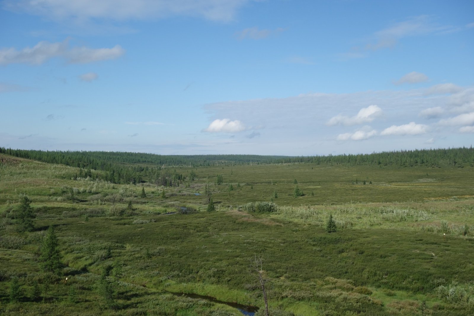 DSC01554.JPG