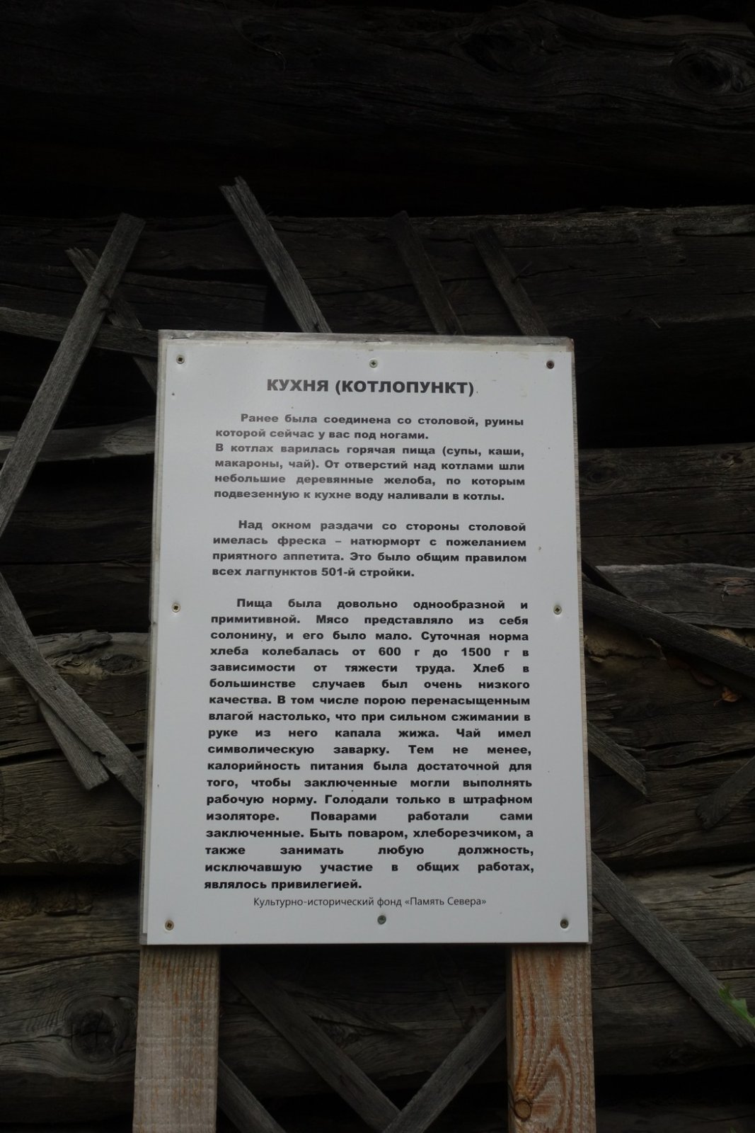 DSC01482.JPG