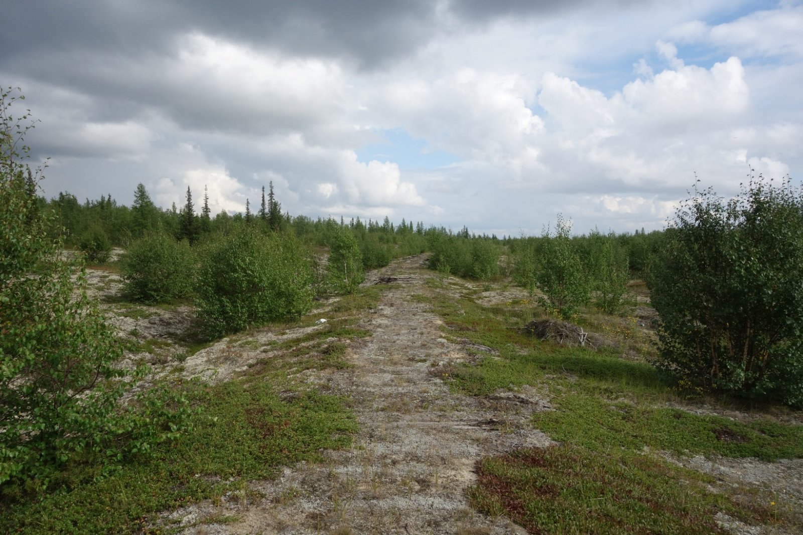DSC01511.JPG
