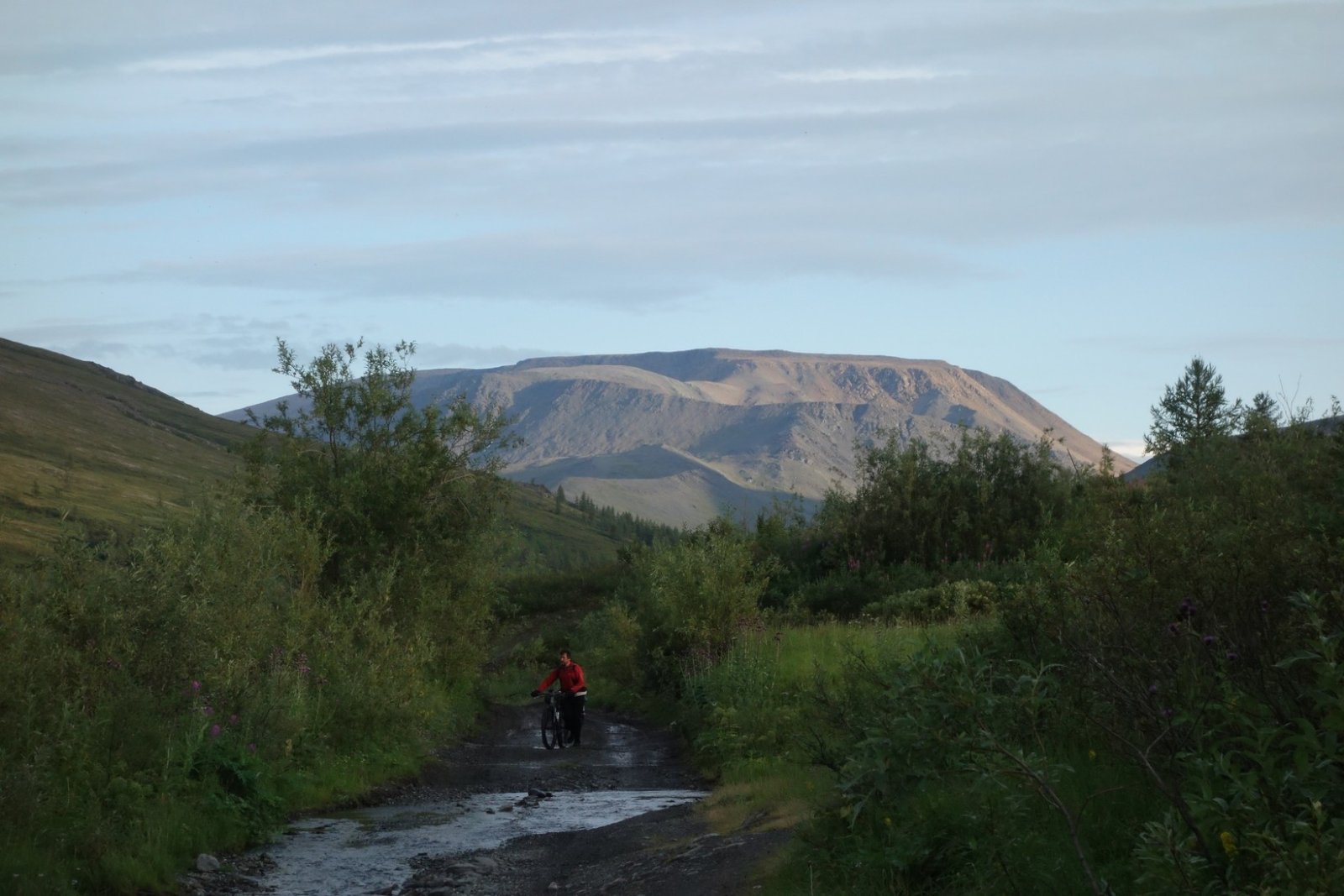 DSC02095.JPG