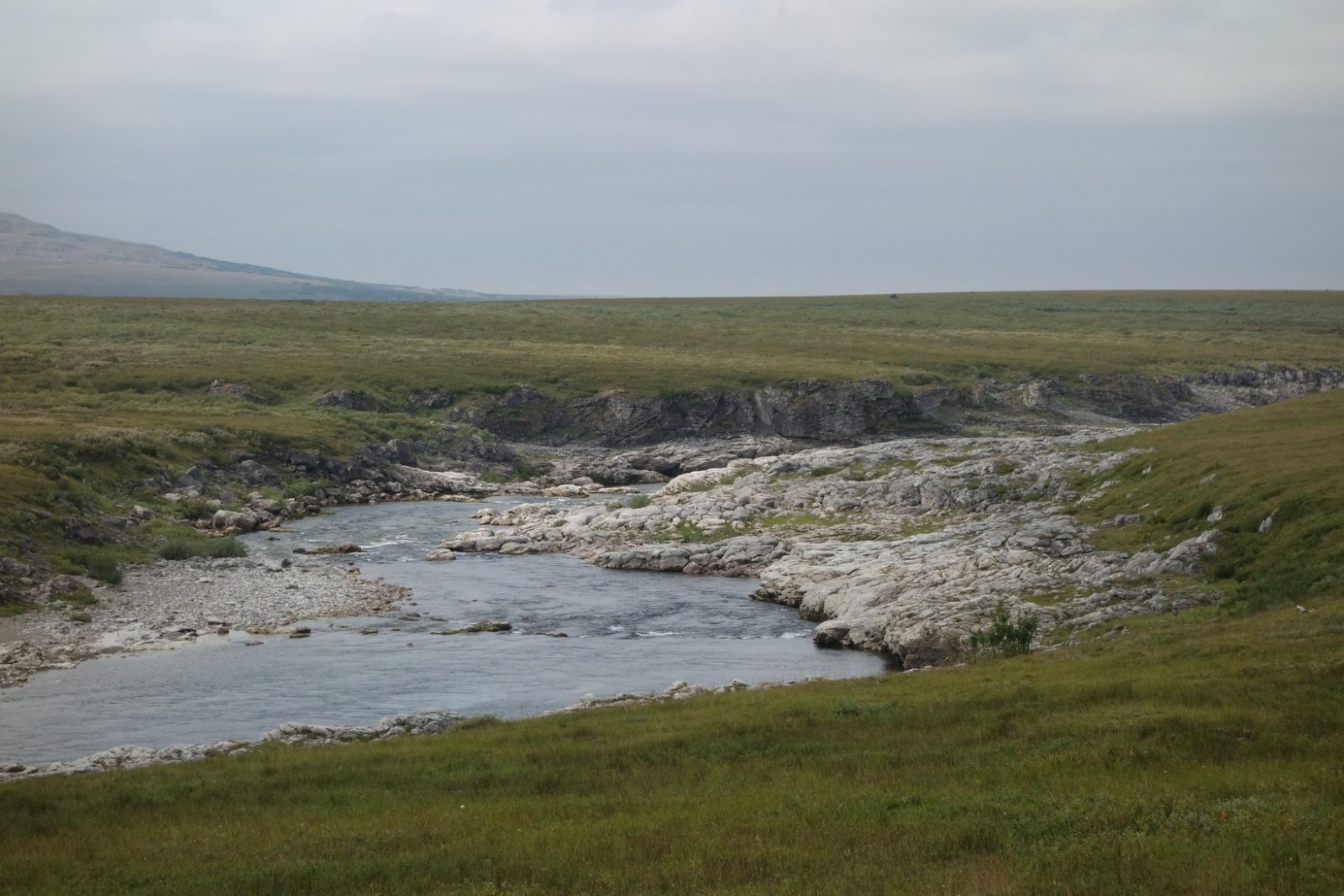 DSC02346.JPG