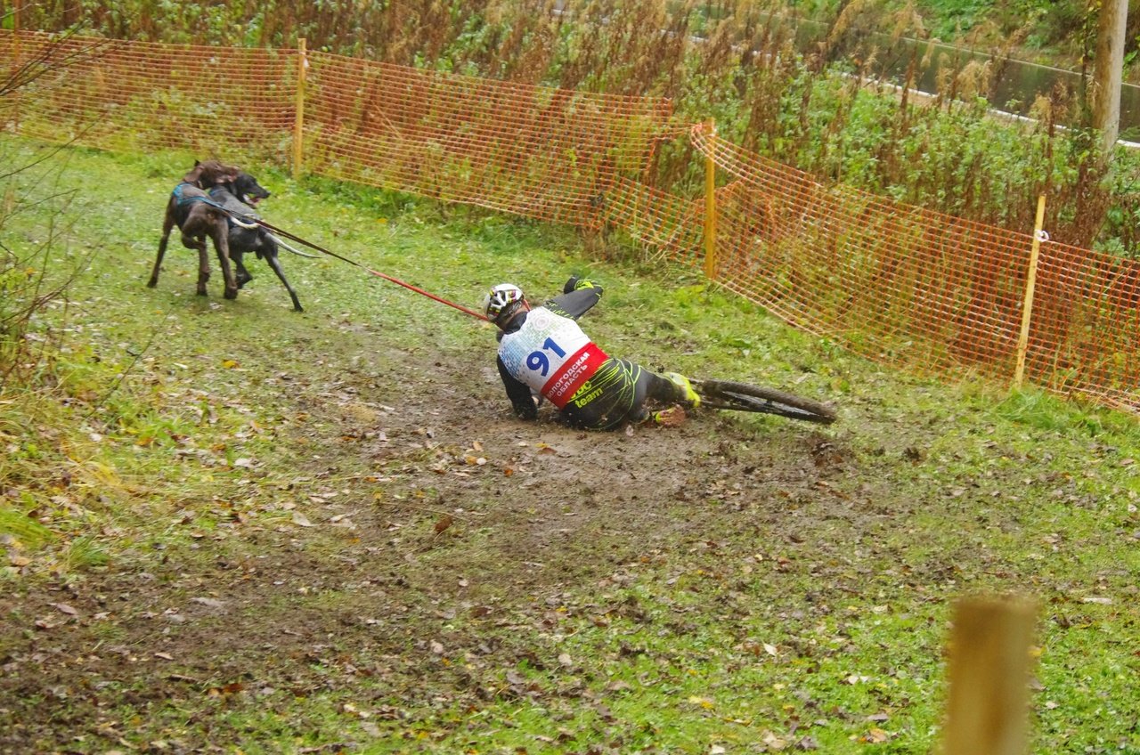 п09.jpg