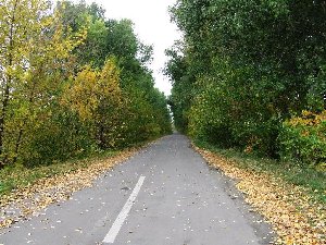 DSCF0213.JPG