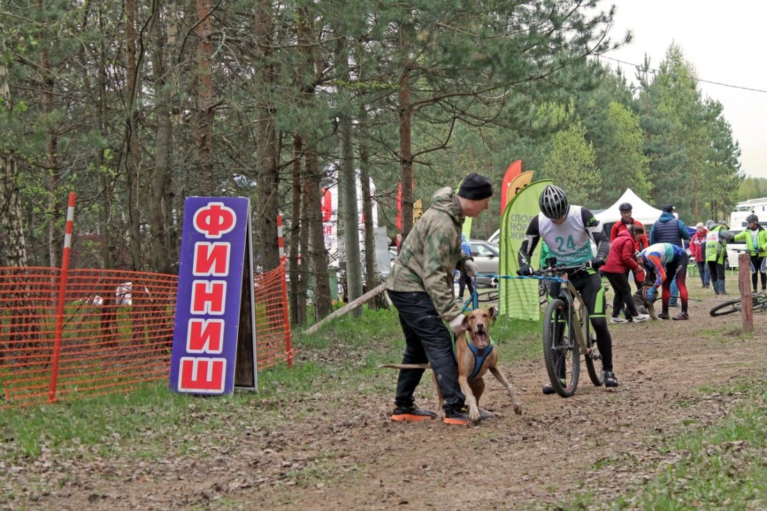 02.jpg