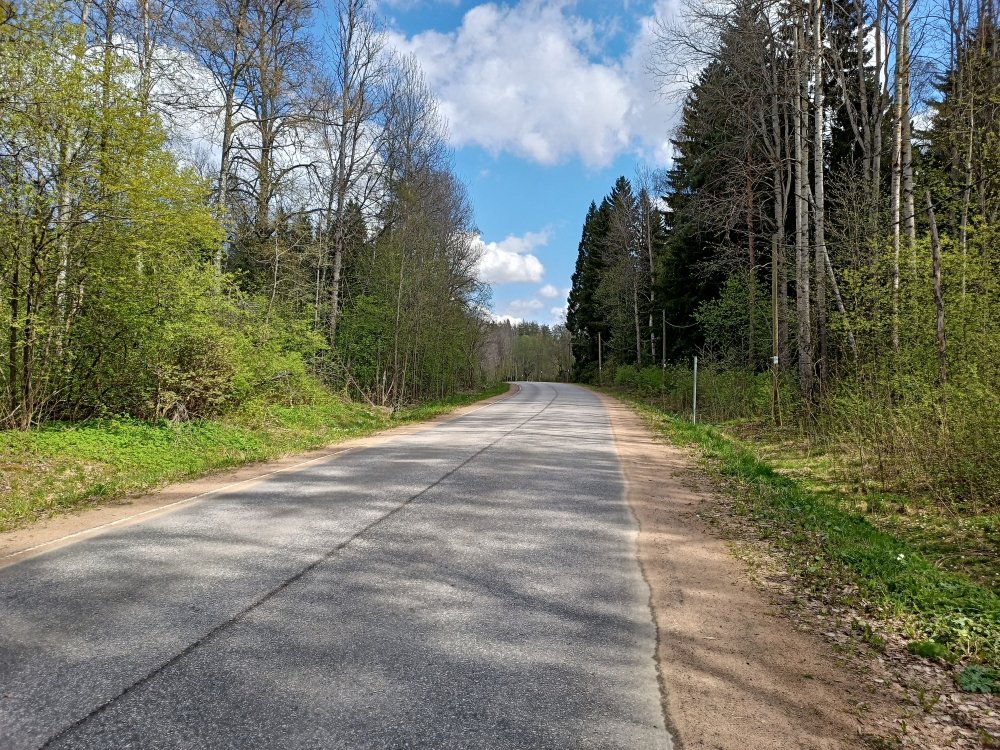 IMG20250515121743.jpg