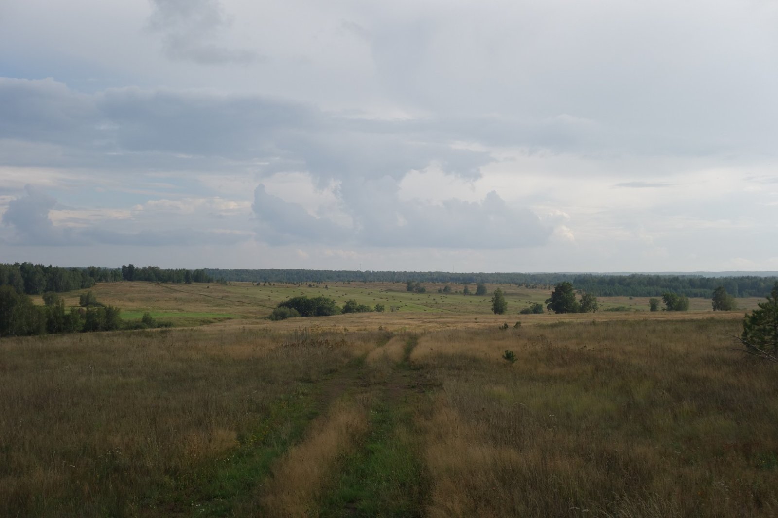 DSC08272.JPG
