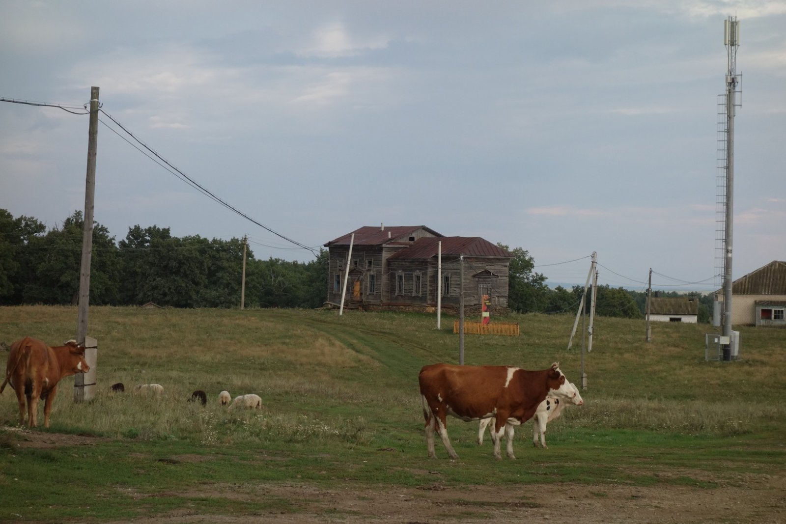 Бывшая церковь в русском селе. В лучших традициях, снесли купола, сделали зернохранилище или что-то ещё, не помню
