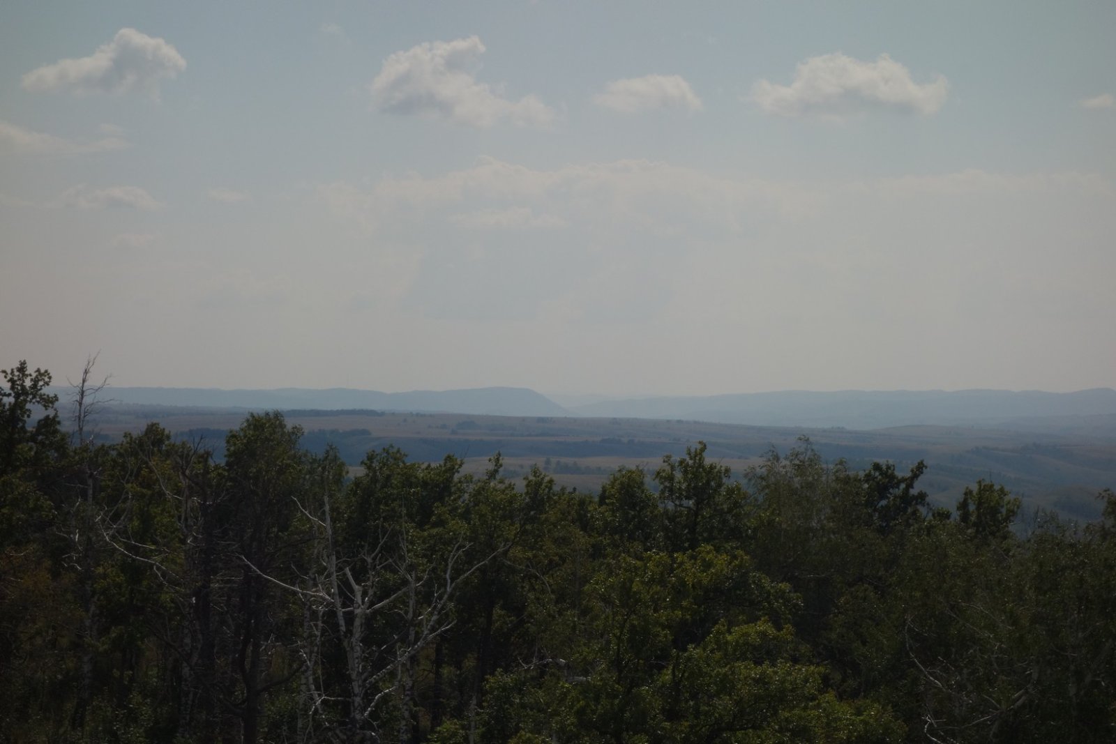 DSC08617.JPG