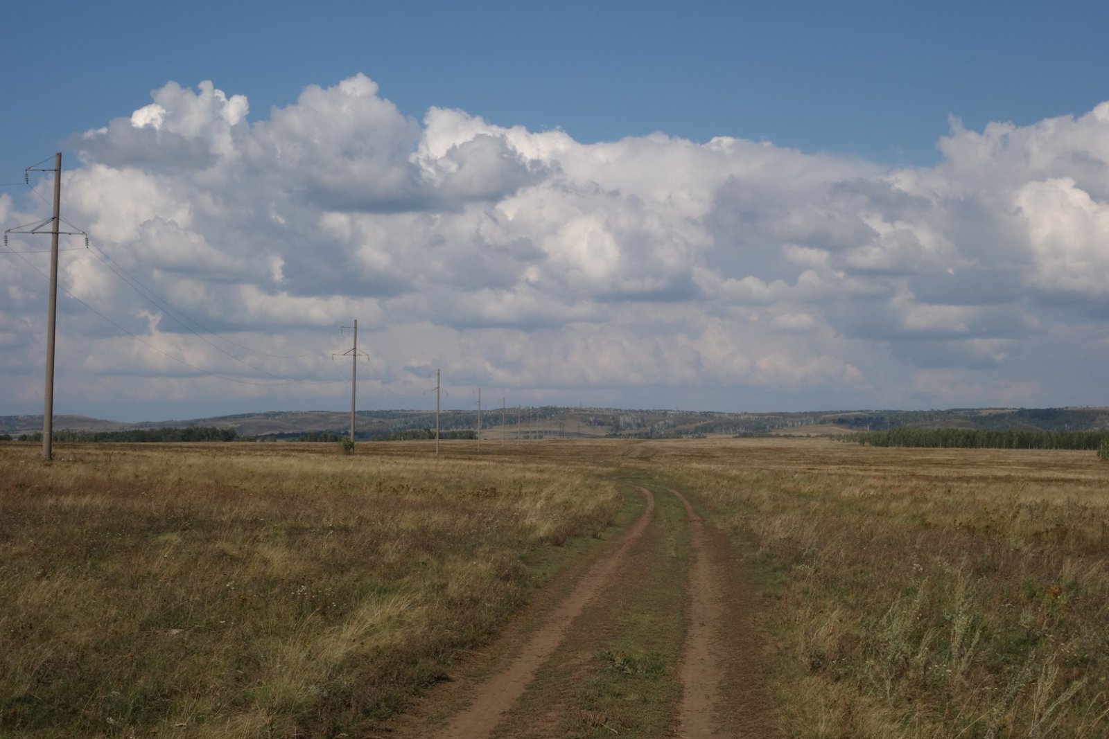DSC08677.JPG