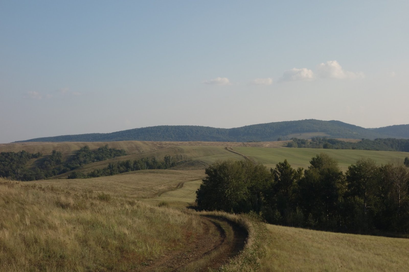 DSC08764.JPG