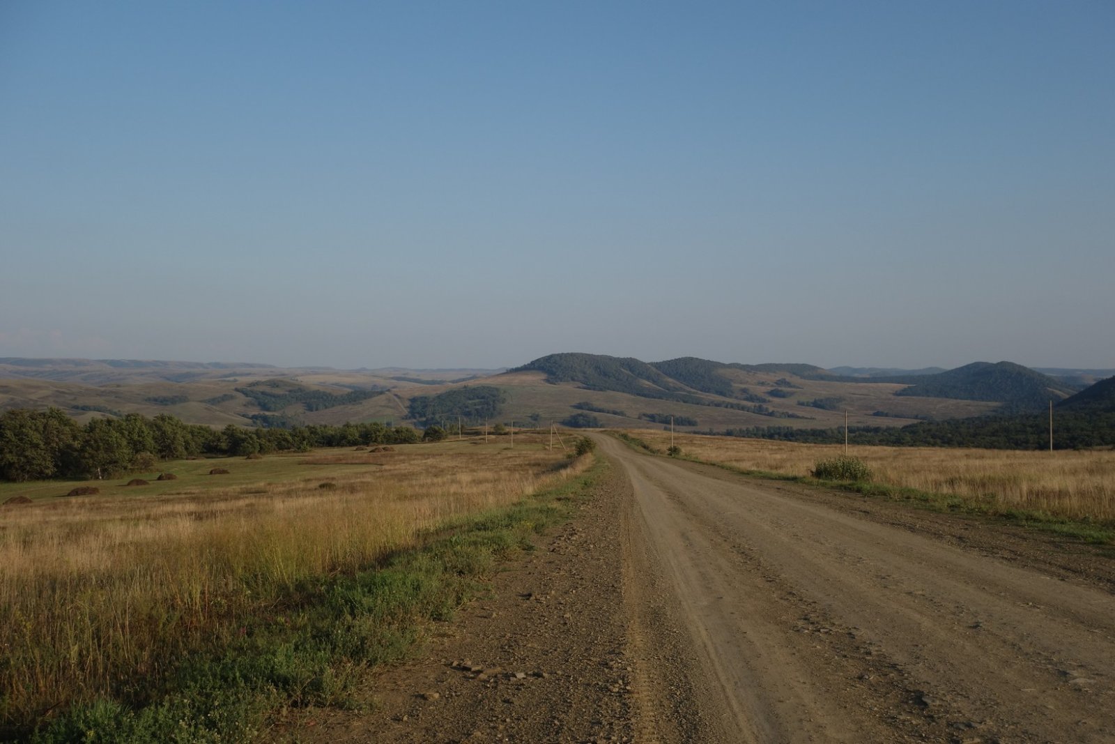 DSC08782.JPG