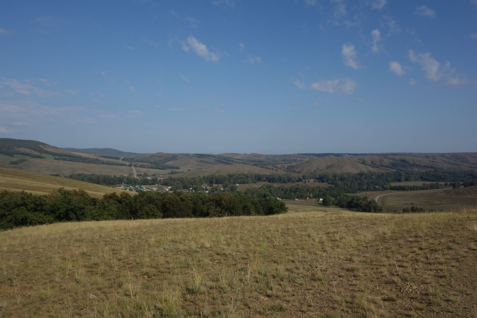 DSC08794.JPG