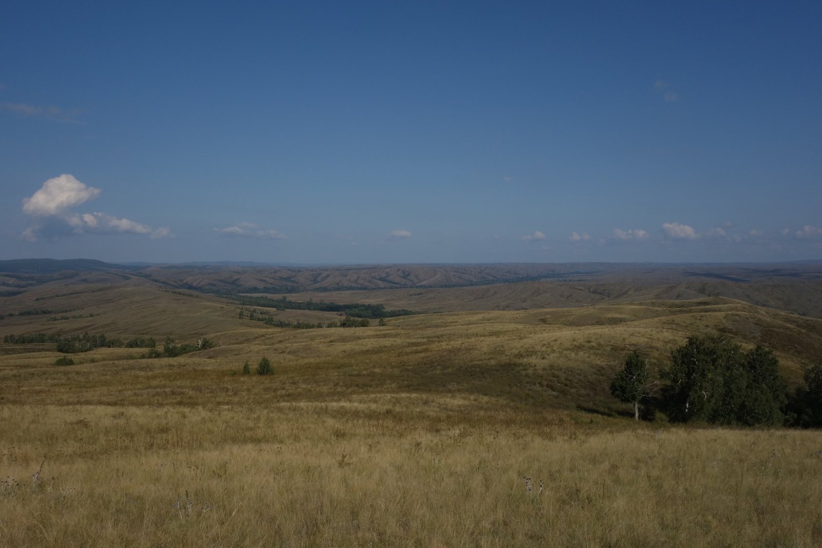DSC08878.JPG