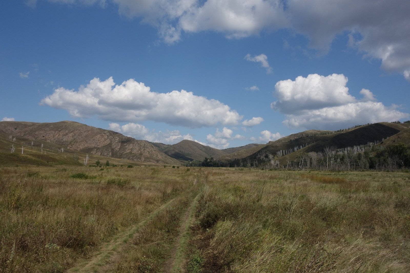 DSC09190.JPG