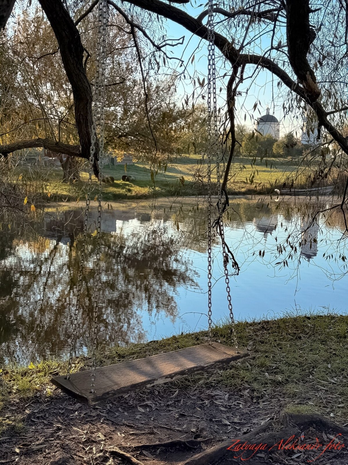 21674.jpg