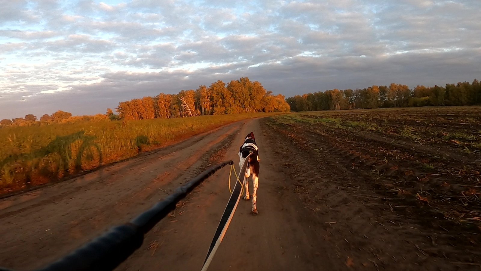 vlcsnap-2025-10-23-10h31m38s145.jpg